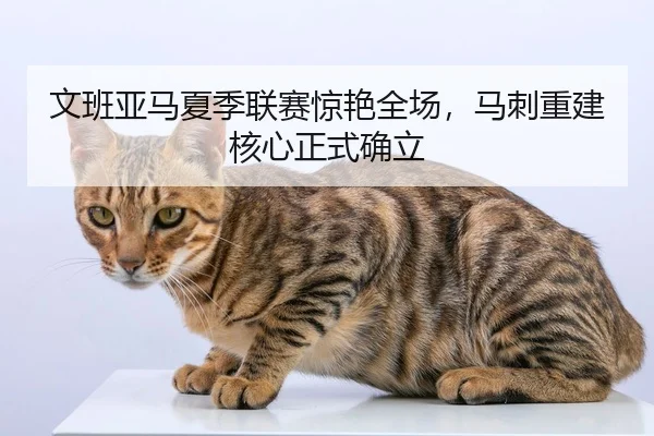 文班亚马夏季联赛惊艳全场，马刺重建核心正式确立
