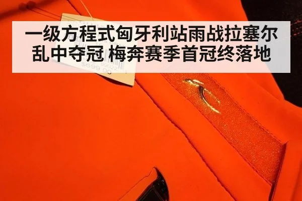 一级方程式匈牙利站雨战拉塞尔乱中夺冠 梅奔赛季首冠终落地