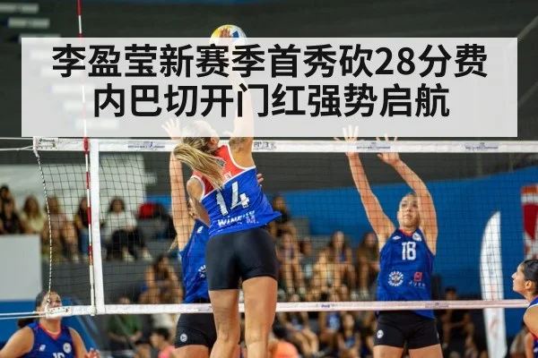 volleyball match