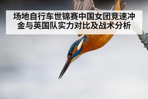 场地自行车世锦赛中国女团竞速冲金与英国队实力对比及战术分析